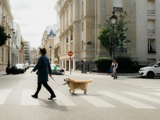 a woman walking a dog across a street