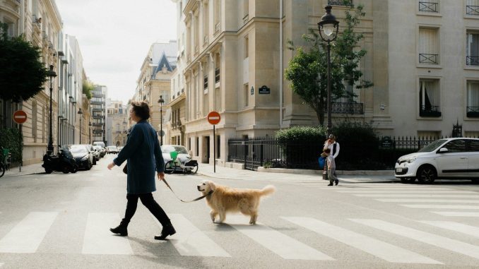 a woman walking a dog across a street